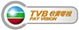 TVB收費電視