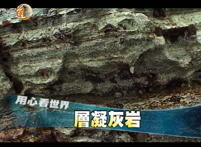 用心看世界節目圖片3