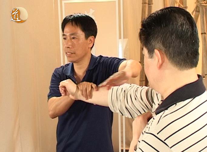 中國武術之詠春節目圖片3